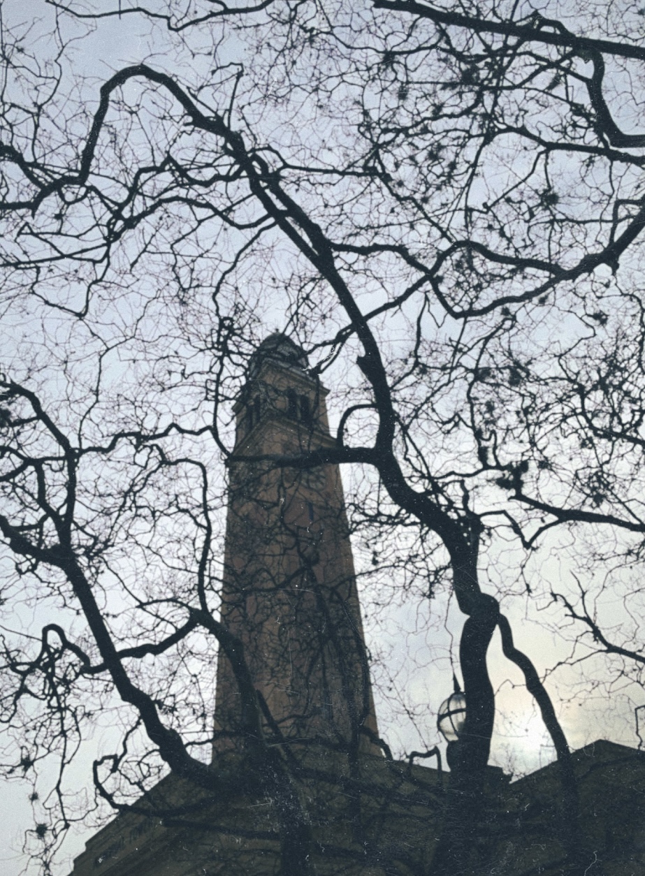 LSU Tower from below through bare branches, film