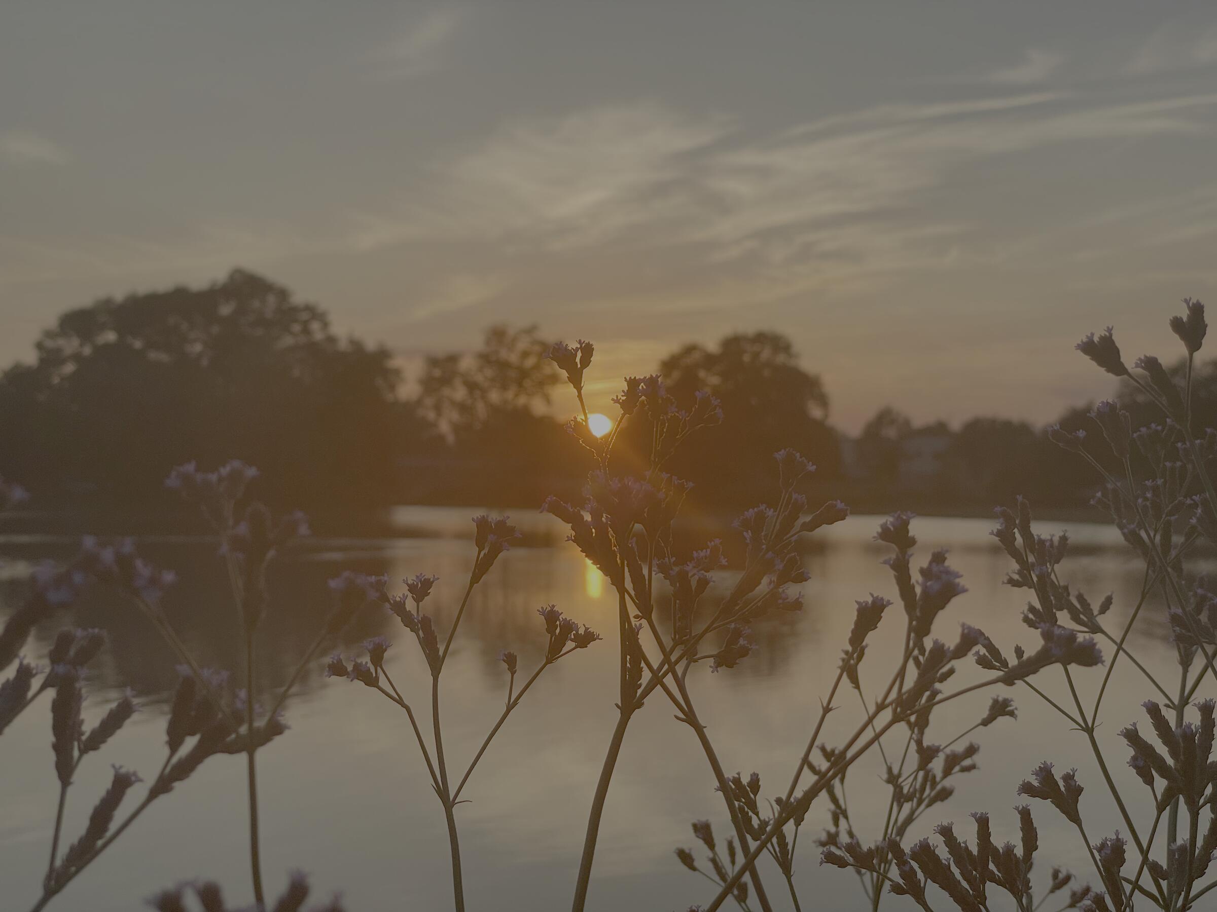 Golden Hour preview