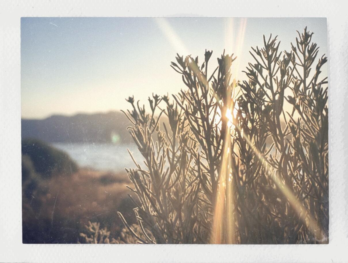 Film photo, coastal light